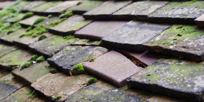 Longhope roof repair costs